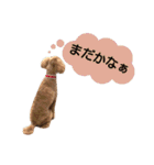 山本さんちのめいちゃん（個別スタンプ：10）