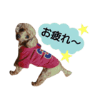 山本さんちのめいちゃん（個別スタンプ：12）
