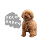 山本さんちのめいちゃん（個別スタンプ：17）
