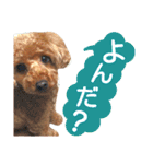 山本さんちのめいちゃん（個別スタンプ：21）