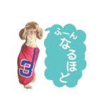 山本さんちのめいちゃん（個別スタンプ：22）