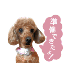 山本さんちのめいちゃん（個別スタンプ：23）