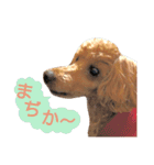 山本さんちのめいちゃん（個別スタンプ：24）