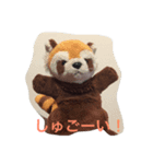 レッサーパンダのヤンヤン1（個別スタンプ：3）