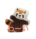 レッサーパンダのヤンヤン1（個別スタンプ：6）