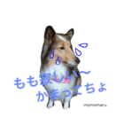 りこまる。ももまる（個別スタンプ：12）