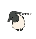 手描きの羊(サフォーク種) たまにパン（個別スタンプ：11）