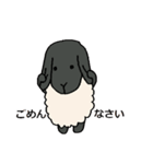 手描きの羊(サフォーク種) たまにパン（個別スタンプ：19）