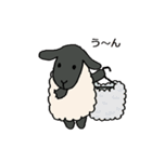 手描きの羊(サフォーク種) たまにパン（個別スタンプ：31）
