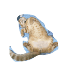 ちゃとら猫可愛い大和（個別スタンプ：4）