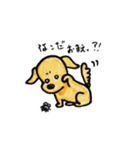 まめ太郎スタンプ（個別スタンプ：15）