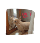 ウサウサ公（個別スタンプ：2）