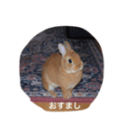 ウサウサ公（個別スタンプ：7）