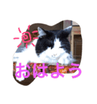 ぼんちゃん！！（個別スタンプ：1）