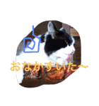 ぼんちゃん！！（個別スタンプ：4）