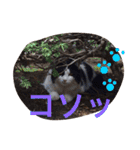 ぼんちゃん！！（個別スタンプ：6）