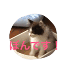 ぼんちゃん！！（個別スタンプ：7）