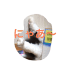 ぼんちゃん！！（個別スタンプ：9）