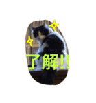 ぼんちゃん！！（個別スタンプ：10）