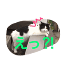 ぼんちゃん！！（個別スタンプ：11）