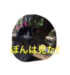 ぼんちゃん！！（個別スタンプ：12）