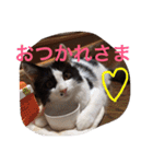 ぼんちゃん！！（個別スタンプ：13）