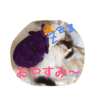ぼんちゃん！！（個別スタンプ：18）