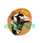 ぼんちゃん！！（個別スタンプ：20）