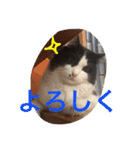 ぼんちゃん！！（個別スタンプ：21）