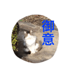 ぼんちゃん！！（個別スタンプ：23）