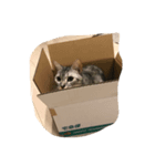 catmimi22（個別スタンプ：5）