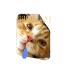 フレークすたんぷ（個別スタンプ：3）