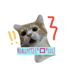 フレークすたんぷ（個別スタンプ：4）