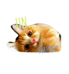 フレークすたんぷ（個別スタンプ：8）