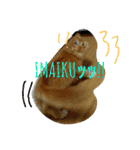 フレークすたんぷ（個別スタンプ：9）