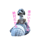我が家のおにぎり時々ひまわり（個別スタンプ：4）