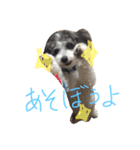 我が家のおにぎり時々ひまわり（個別スタンプ：19）