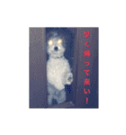 我が家のおにぎり時々ひまわり（個別スタンプ：20）