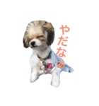我が家のおにぎり時々ひまわり（個別スタンプ：22）