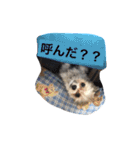 我が家のおにぎり時々ひまわり（個別スタンプ：23）