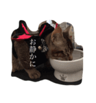 もん吉5（個別スタンプ：2）