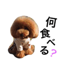 Blair02（個別スタンプ：4）