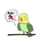 アニマルスタンプ☆（個別スタンプ：40）