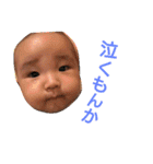 チンタローの日々 byマリ母（個別スタンプ：2）
