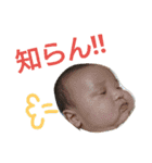チンタローの日々 byマリ母（個別スタンプ：9）