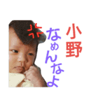 チンタローの日々 byマリ母（個別スタンプ：13）