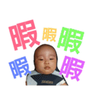 チンタローの日々 byマリ母（個別スタンプ：25）