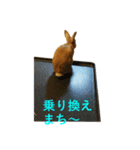 ぽろぽろうさぎ（個別スタンプ：3）