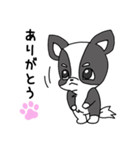オイラ 小太郎（個別スタンプ：2）
