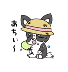 オイラ 小太郎（個別スタンプ：5）